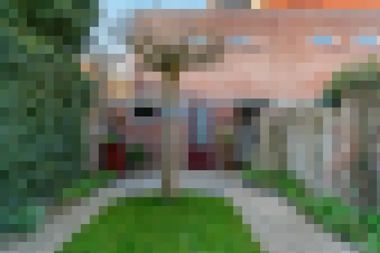 Nachtegaallaan 5 Tiel thumbnail 40