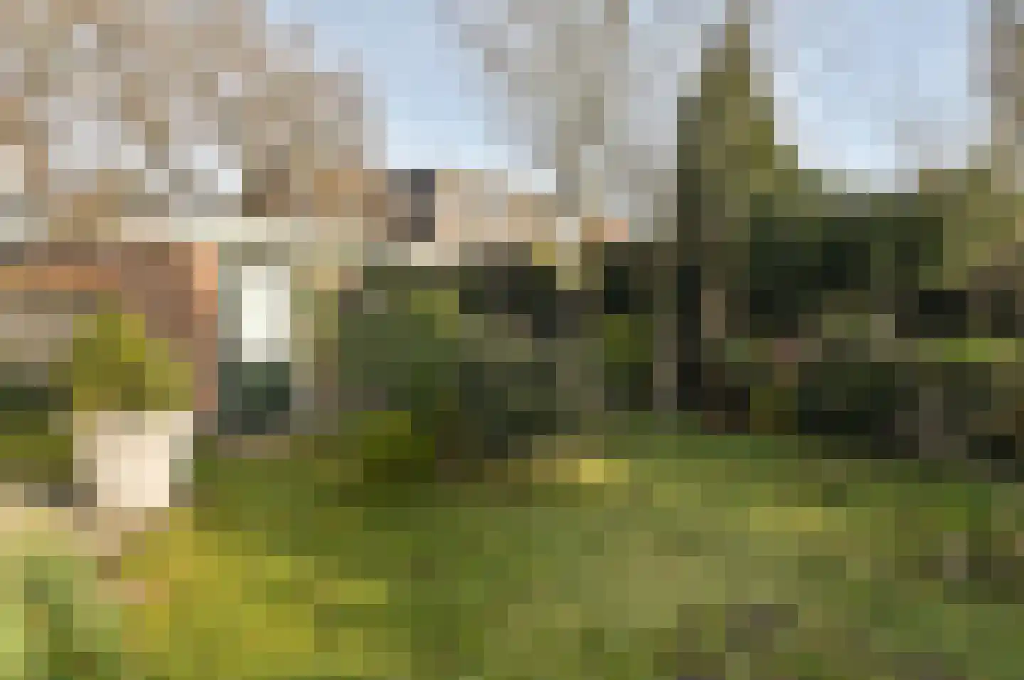 Nachtegaallaan 50 Baarn thumbnail 12