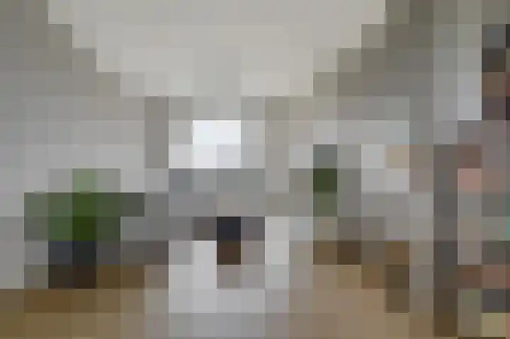 Nachtegaallaan 53 Katwijk thumbnail 11