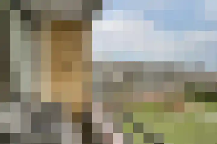 Nachtegaallaan 53 Katwijk thumbnail 30