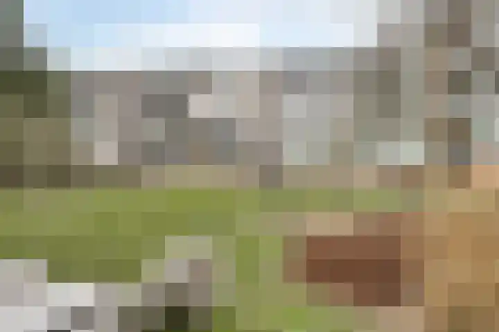 Nachtegaallaan 53 Katwijk thumbnail 35