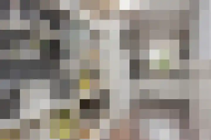 Nachtegaallaan 54 Tiel thumbnail 10
