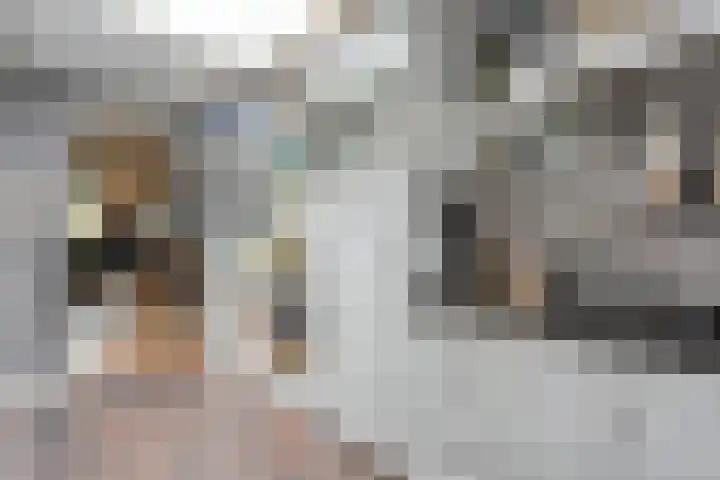 Nachtegaallaan 54 Tiel thumbnail 11