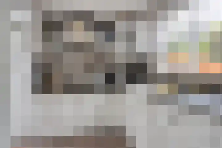 Nachtegaallaan 54 Tiel thumbnail 12