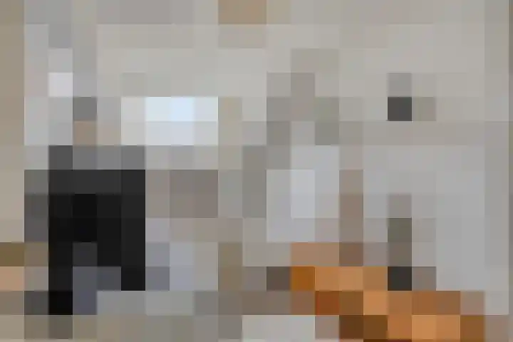Nachtegaallaan 54 Tiel thumbnail 19
