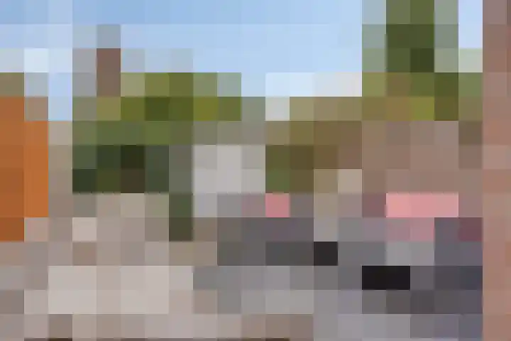 Nachtegaallaan 54 Tiel thumbnail 21