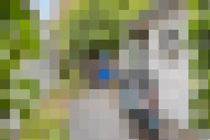 Nachtegaallaan 54 Tiel thumbnail 22