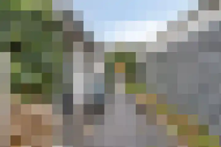 Nachtegaallaan 54 Tiel thumbnail 23