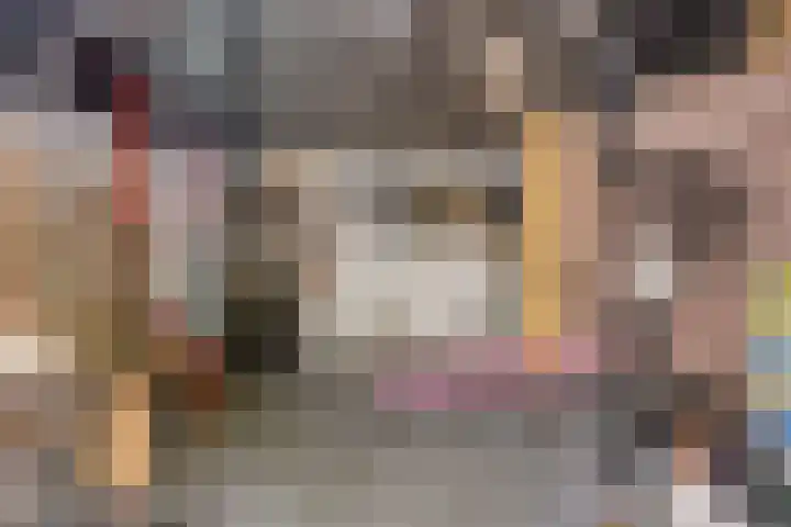 Nachtegaallaan 54 Tiel thumbnail 25