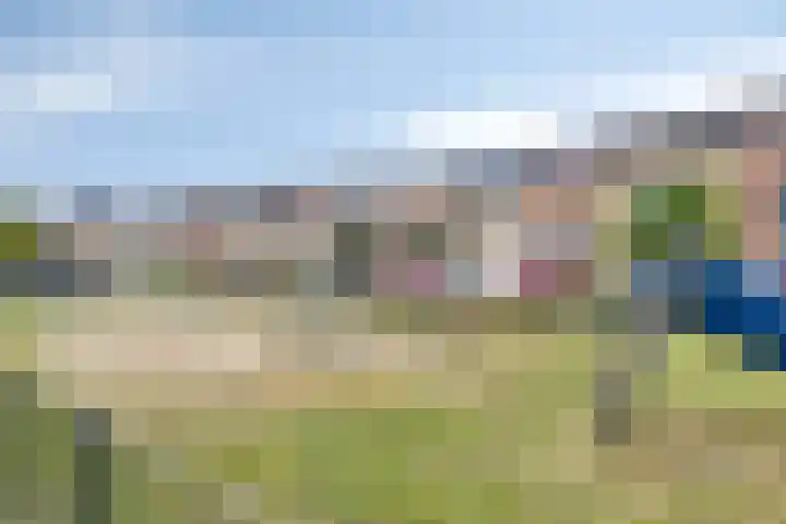 Nachtegaallaan 54 Tiel thumbnail 27