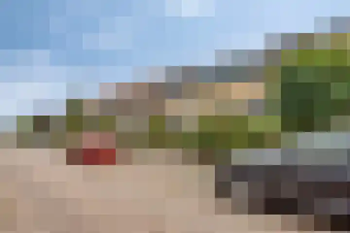 Nachtegaallaan 54 Tiel thumbnail 4