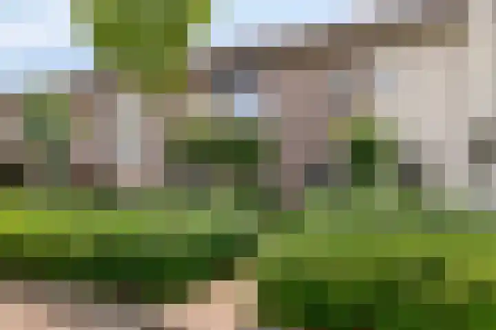 Nachtegaallaan 55 Helmond thumbnail 10