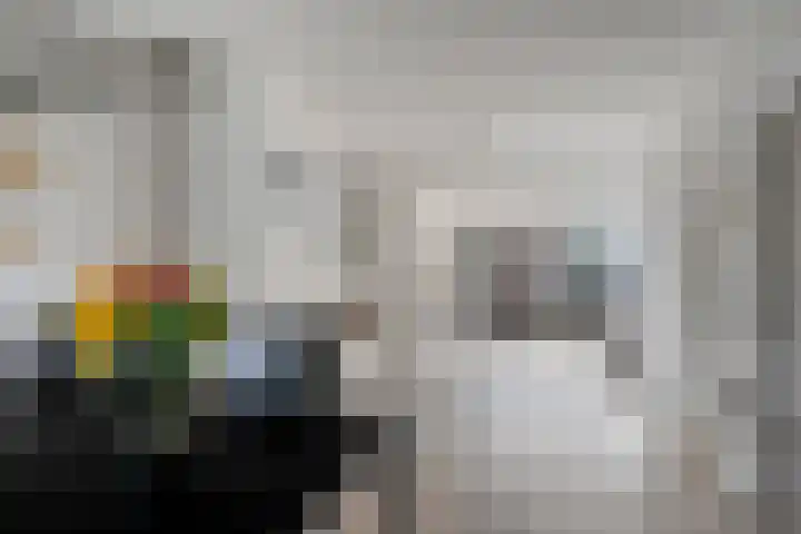 Nachtegaallaan 55 Helmond thumbnail 14