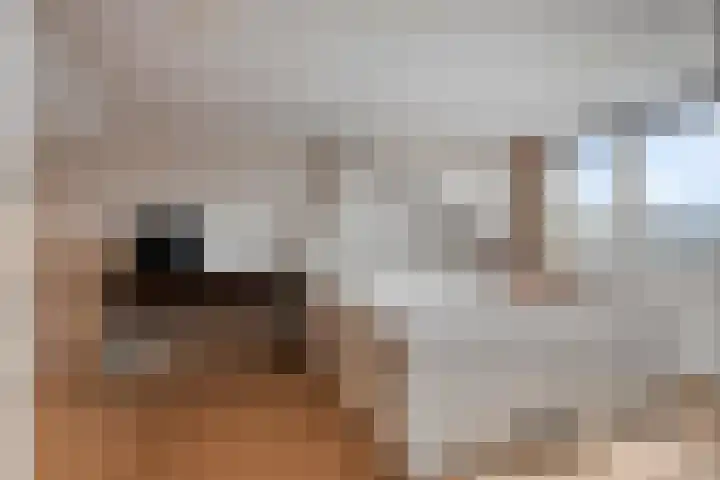 Nachtegaallaan 55 Helmond thumbnail 34