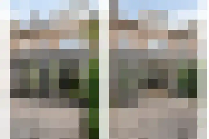 Nachtegaallaan 55 Helmond thumbnail 35