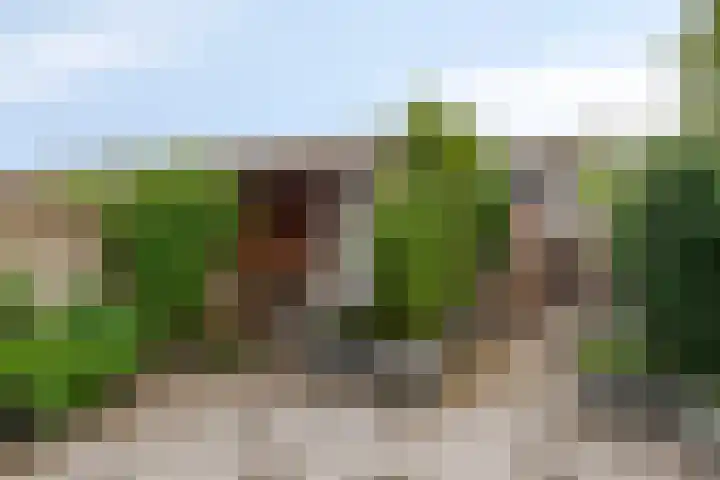 Nachtegaallaan 55 Helmond thumbnail 36