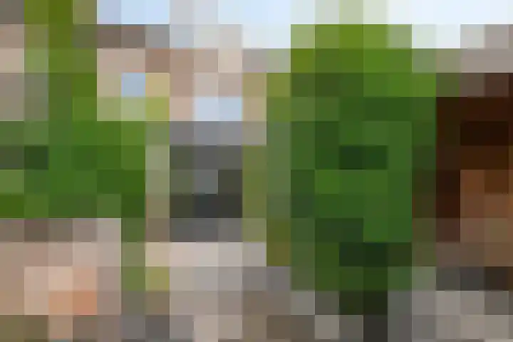Nachtegaallaan 55 Helmond thumbnail 39