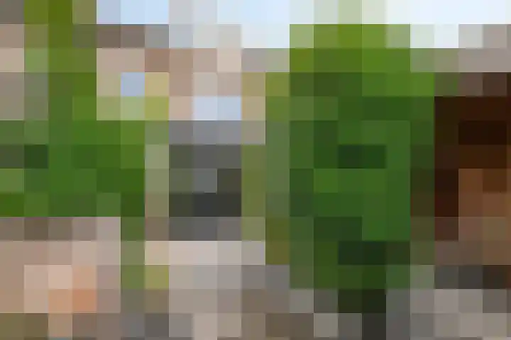 Nachtegaallaan 55 Helmond thumbnail 6