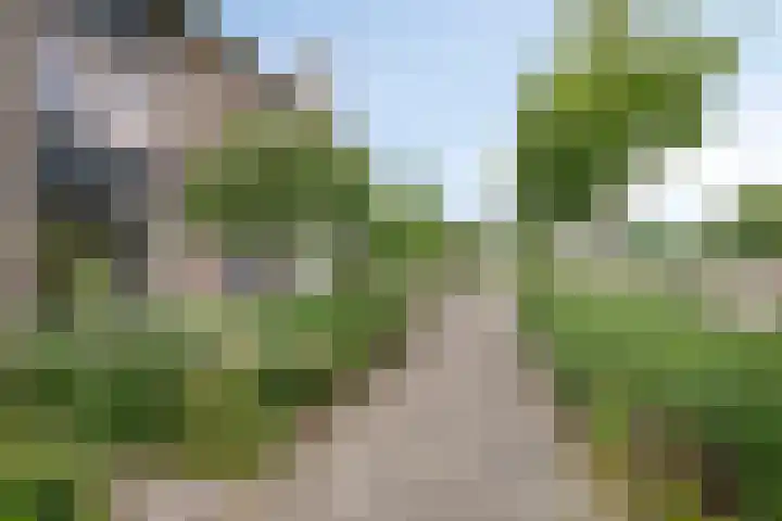 Nachtegaallaan 55 Helmond thumbnail 8