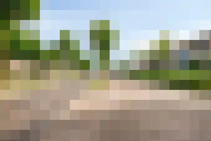 Nachtegaallaan 55 Helmond thumbnail 9