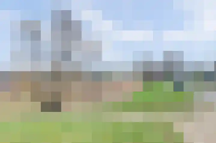 Nachtegaallaan 57 a Tiel thumbnail 38
