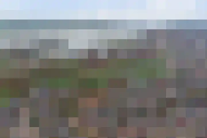 Nachtegaallaan 57 a Tiel thumbnail 42