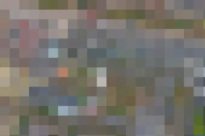 Nachtegaallaan 57 a Tiel thumbnail 44