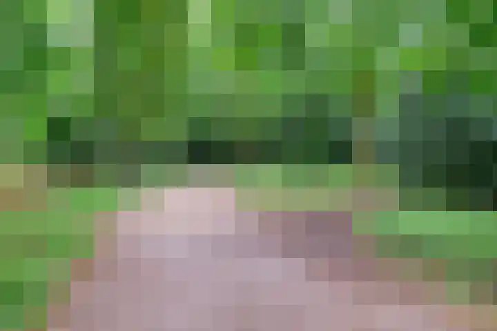 Nachtegaallaan 57 Baarn thumbnail 31