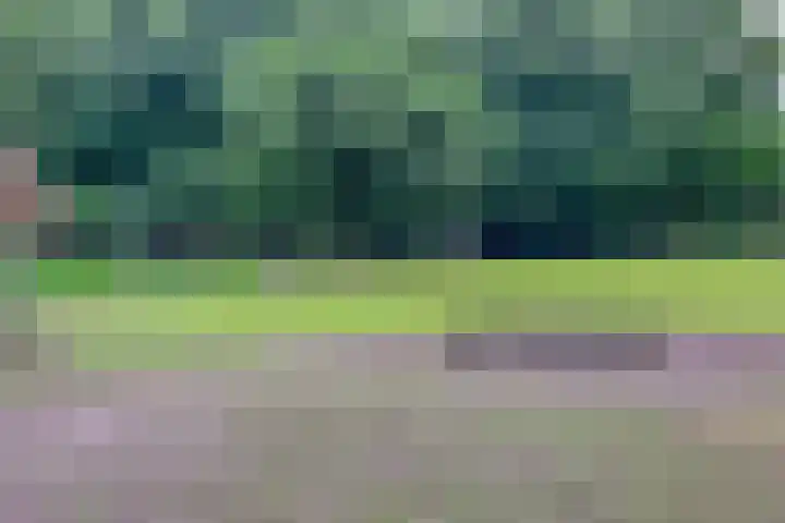 Nachtegaallaan 57 Baarn thumbnail 32
