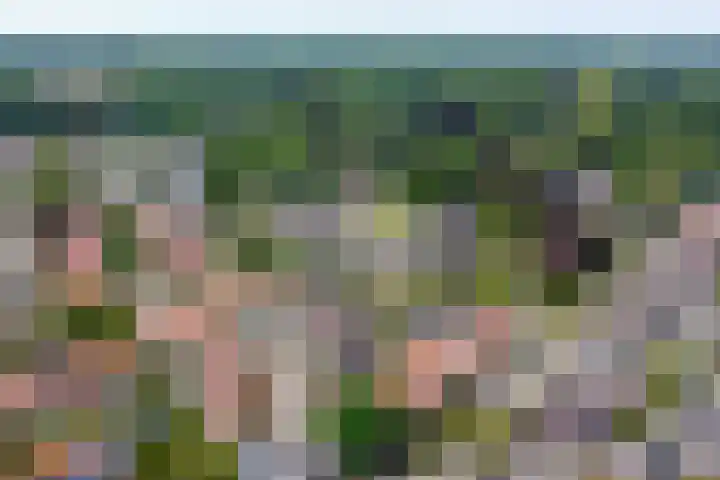Nachtegaallaan 57 Baarn thumbnail 35