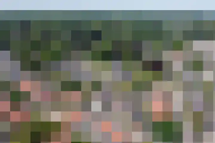 Nachtegaallaan 57 Baarn thumbnail 36