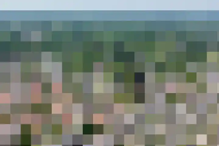 Nachtegaallaan 57 Baarn thumbnail 37