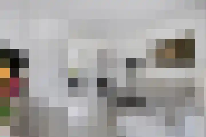 Nachtegaallaan 57 Baarn thumbnail 7