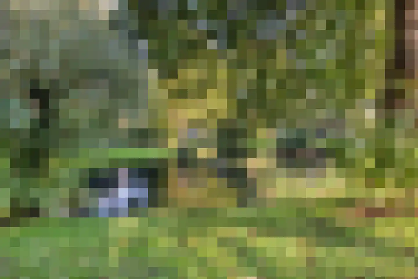 Nachtegaallaan 57 Rozenburg thumbnail 41