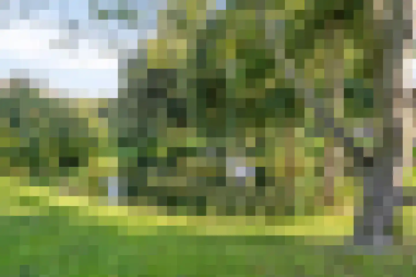 Nachtegaallaan 57 Rozenburg thumbnail 42