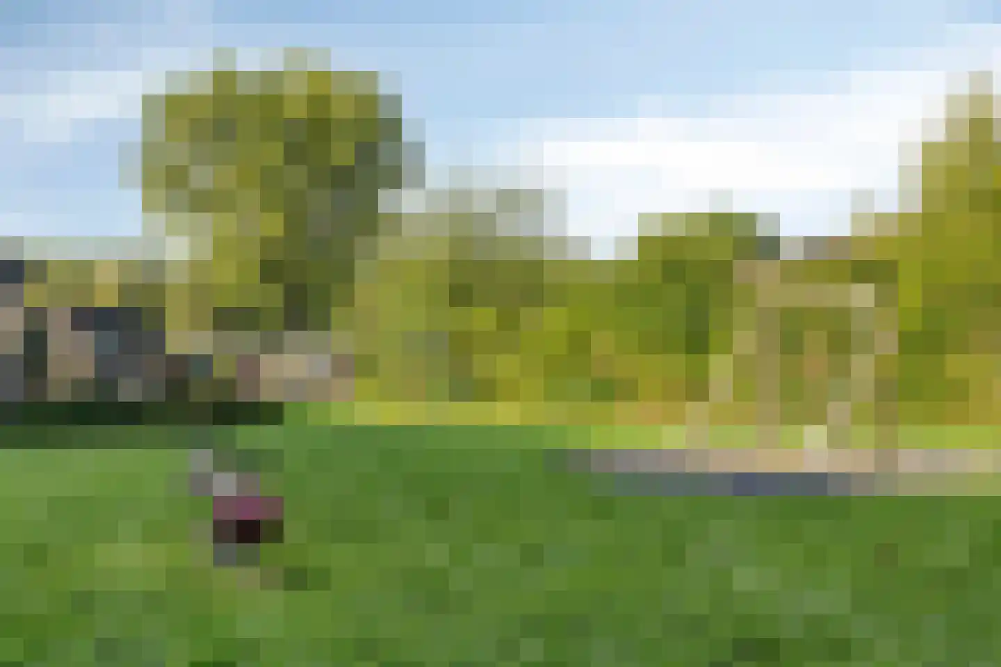 Nachtegaallaan 57 Rozenburg thumbnail 43