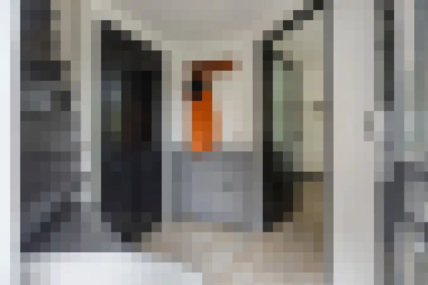 Nachtegaallaan 57 Rozenburg thumbnail 9
