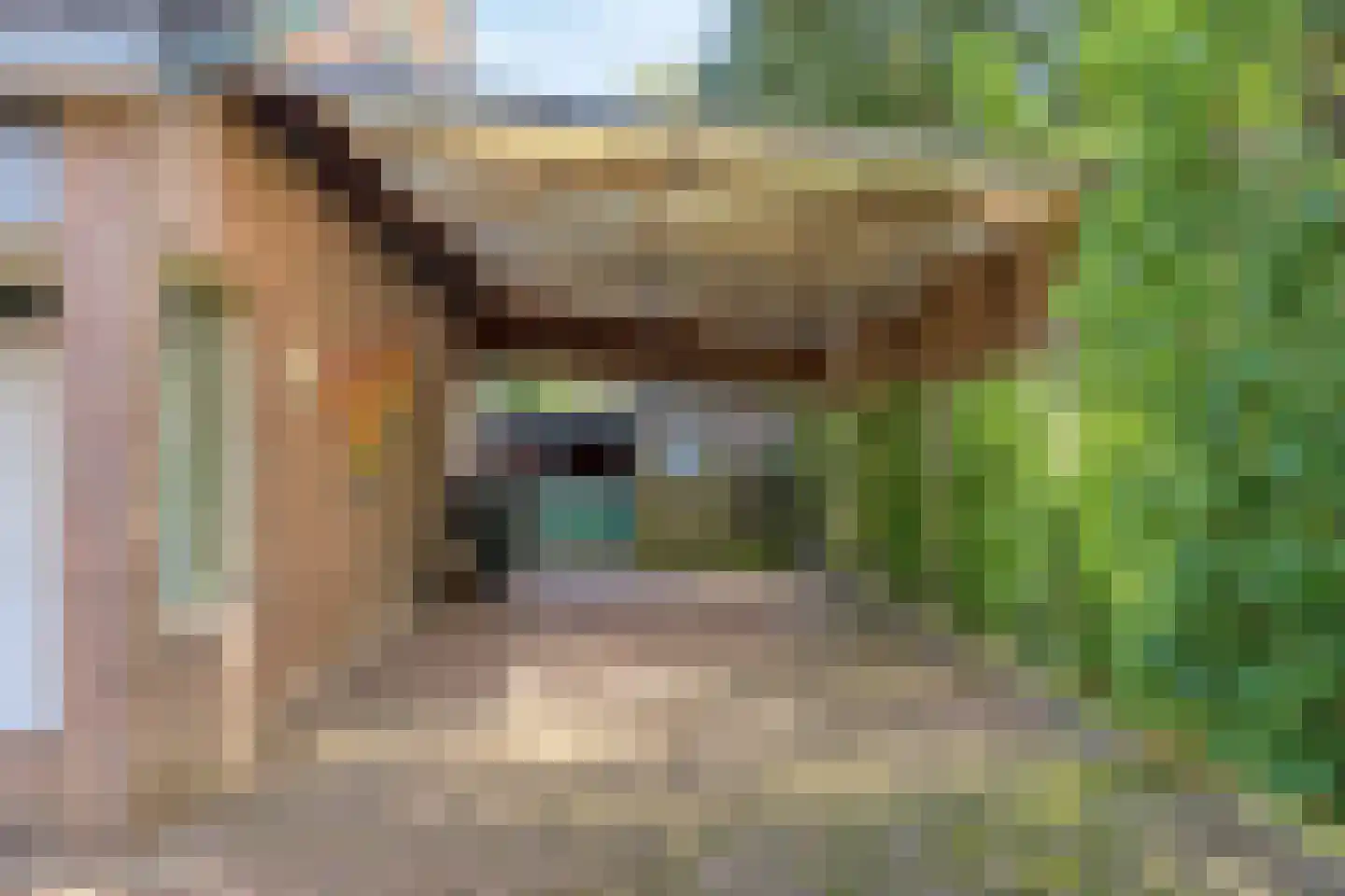 Nachtegaallaan 6 Dodewaard thumbnail 10