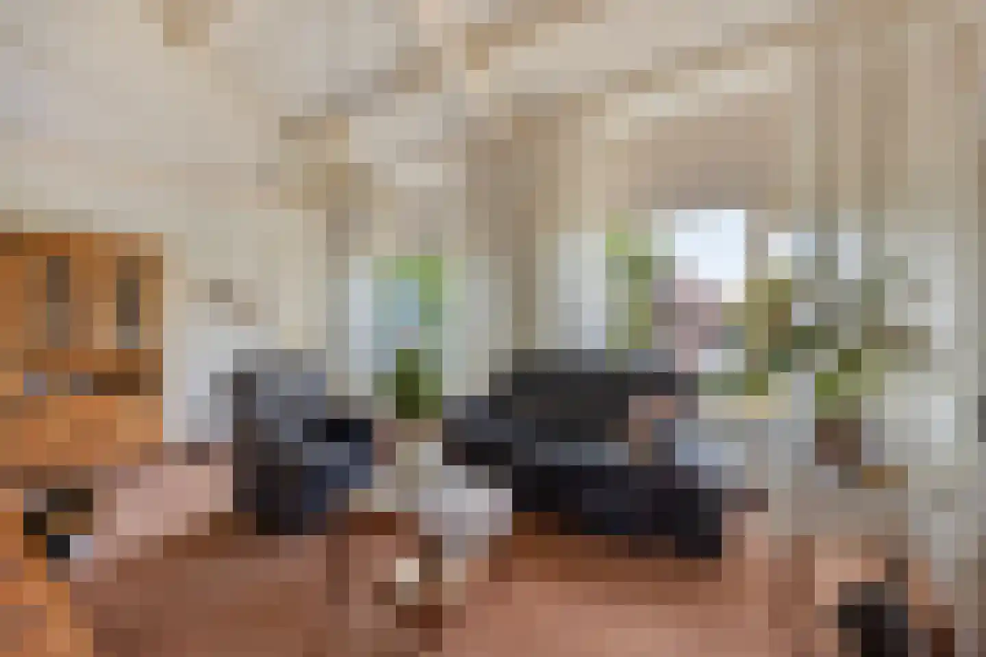 Nachtegaallaan 6 Dodewaard thumbnail 14