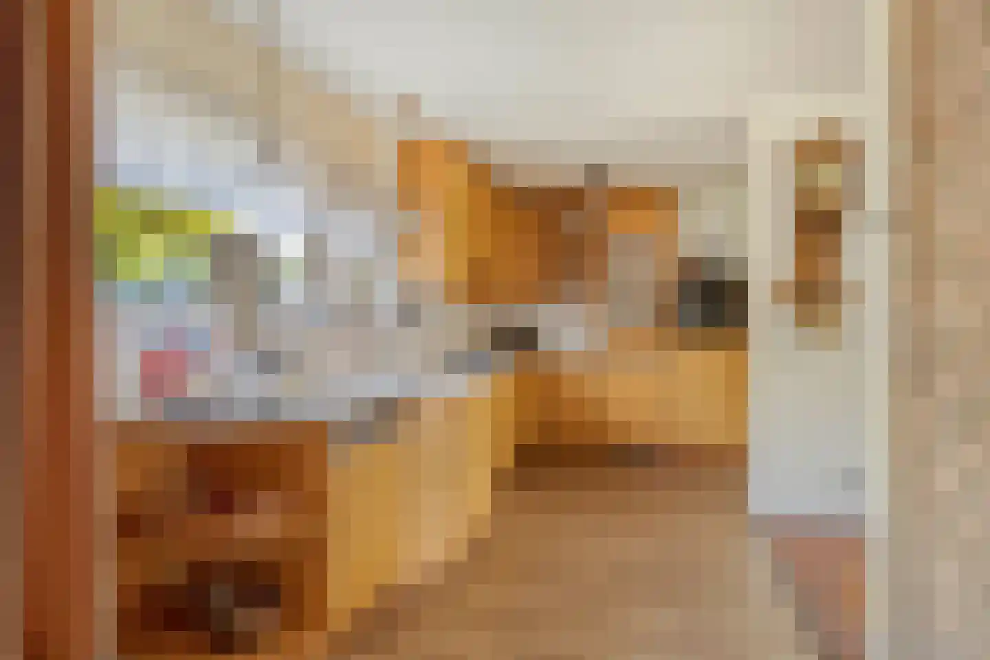 Nachtegaallaan 6 Dodewaard thumbnail 16