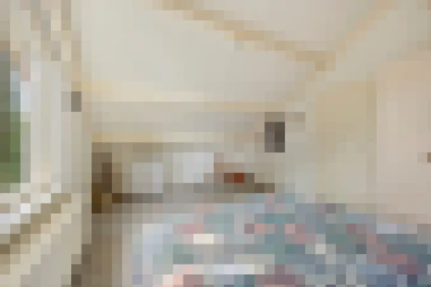 Nachtegaallaan 6 Dodewaard thumbnail 27