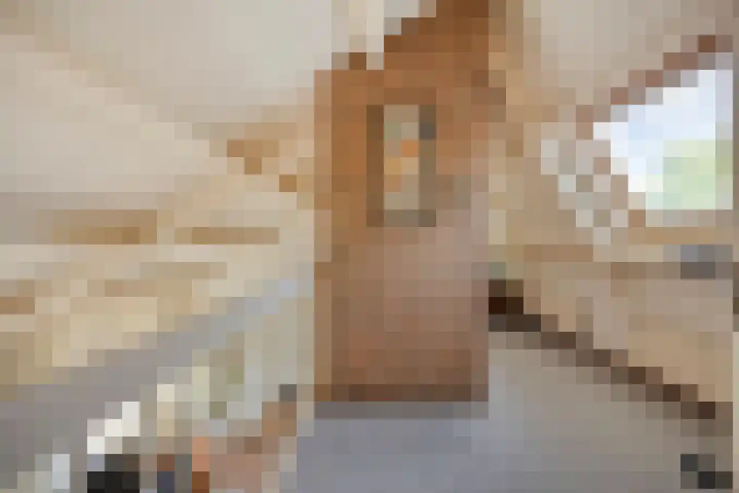 Nachtegaallaan 6 Dodewaard thumbnail 28