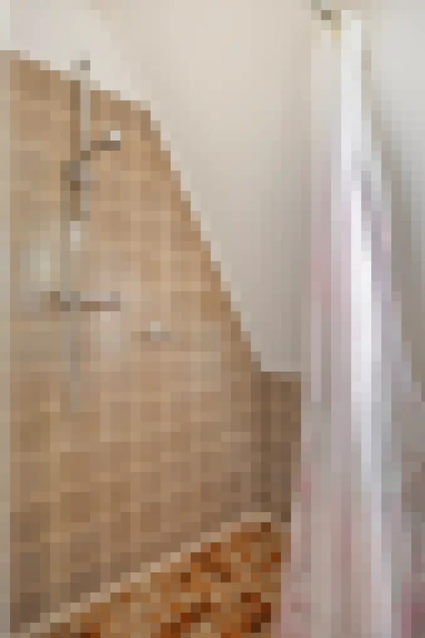 Nachtegaallaan 6 Dodewaard thumbnail 33