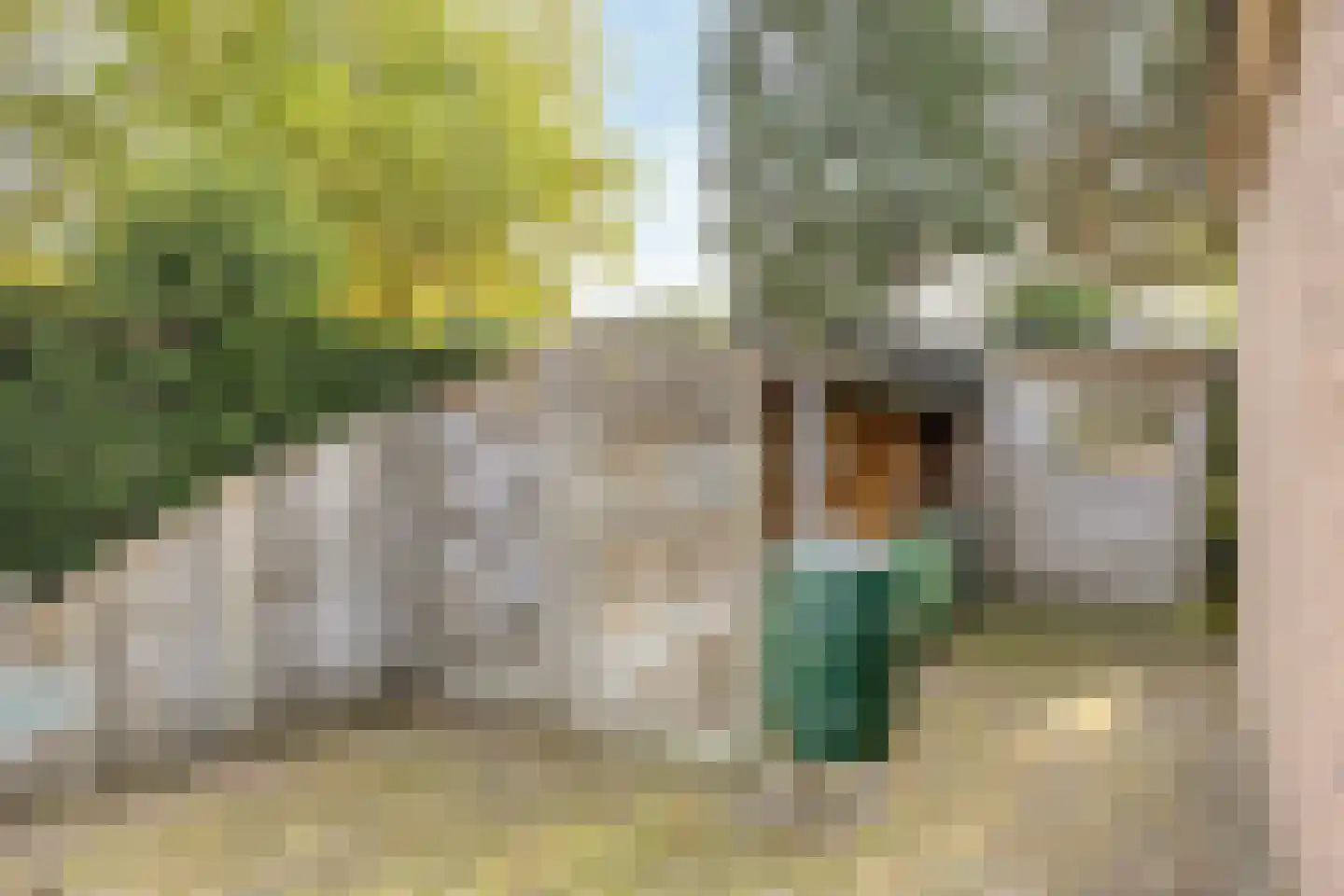Nachtegaallaan 6 Dodewaard thumbnail 38