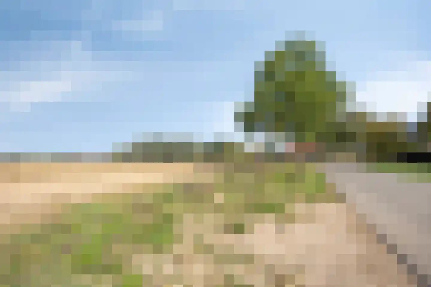 Nachtegaallaan 6 Dodewaard thumbnail 41