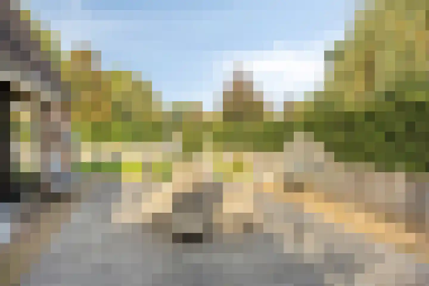 Nachtegaallaan 6 Dodewaard thumbnail 5