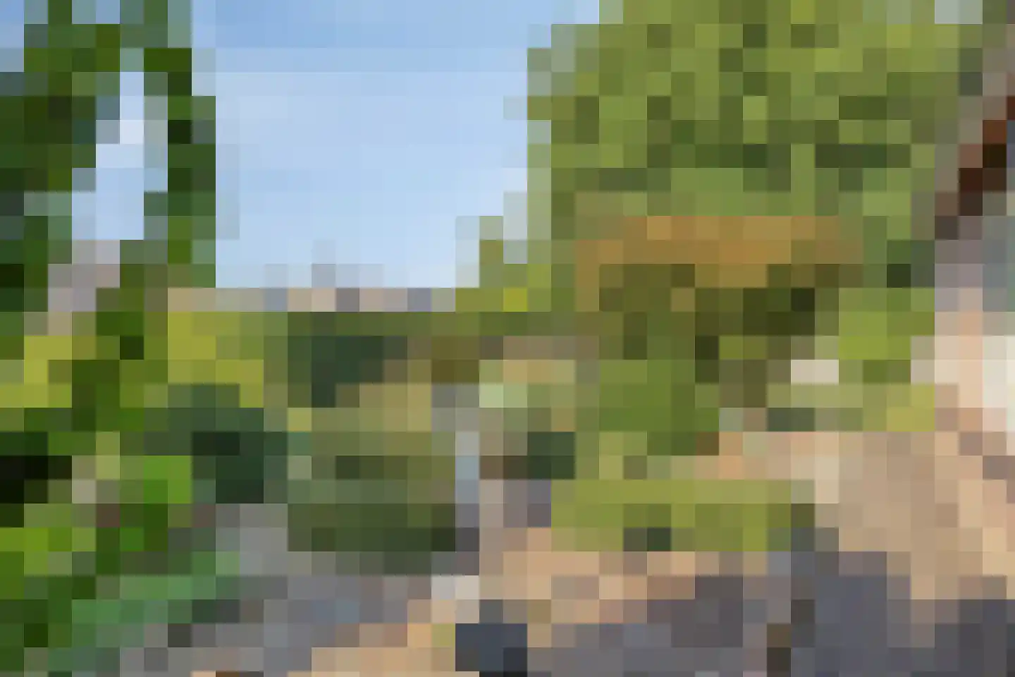 Nachtegaallaan 6 Dodewaard thumbnail 8