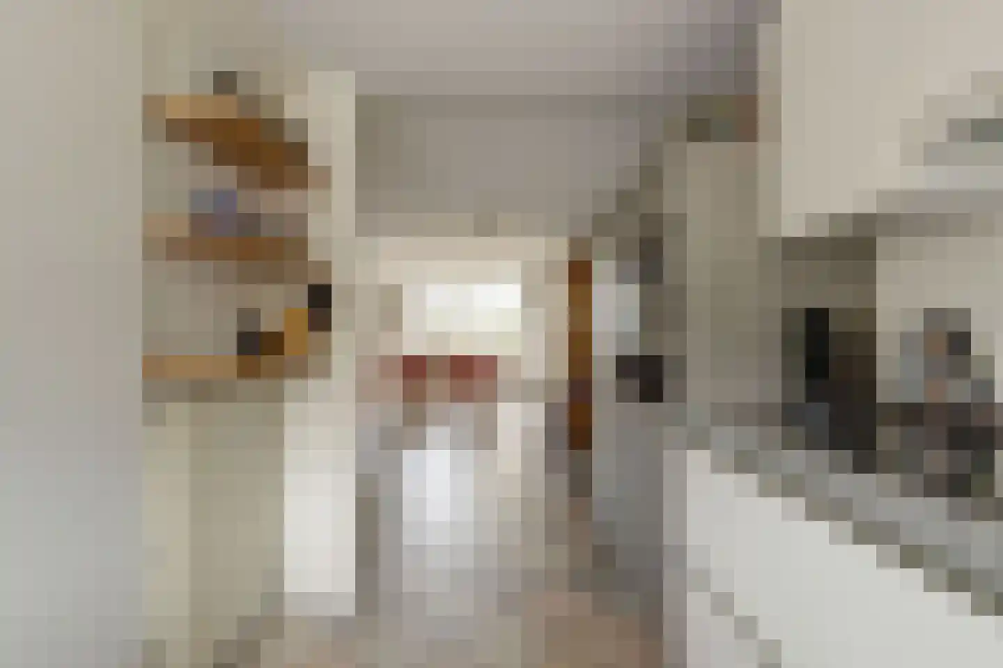 Nachtegaallaan 6 Rijswijk thumbnail 19