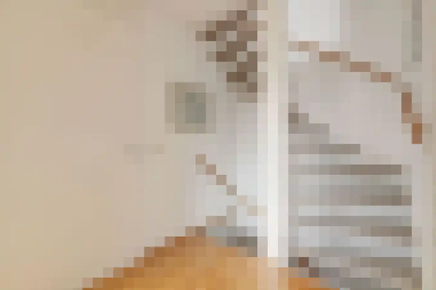 Nachtegaallaan 6 Rijswijk thumbnail 21