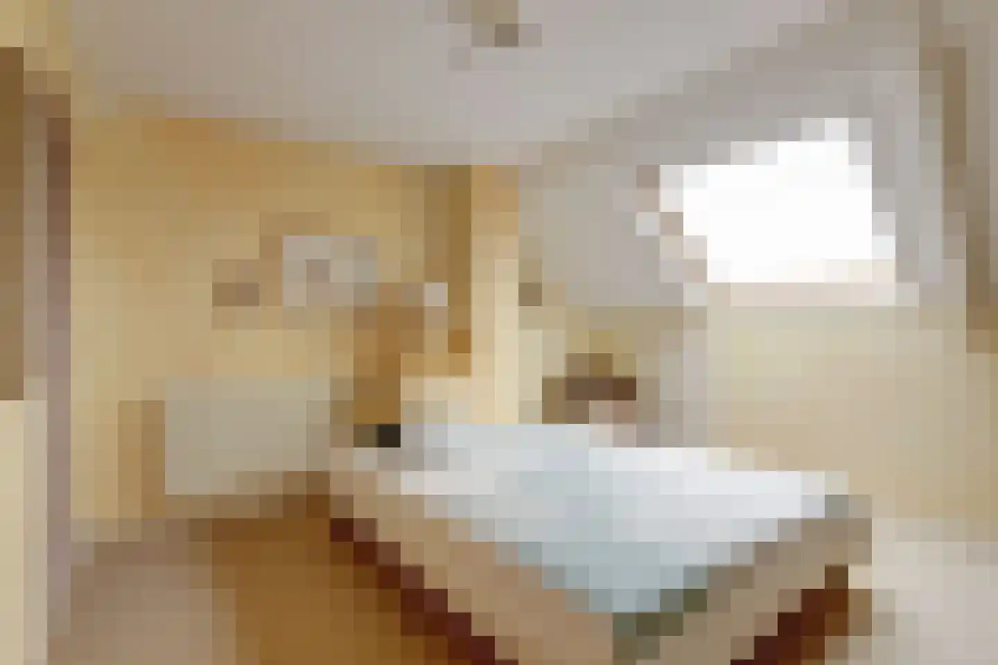 Nachtegaallaan 6 Rijswijk thumbnail 36